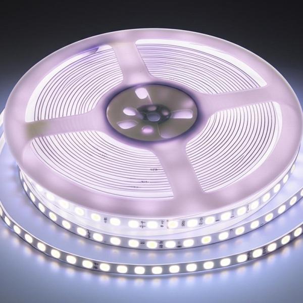 China 30 Years Lifespan LED Strip Lights with Dimming Capability and PVC Lamp Body Material factory