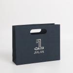 Jewelry Gift Paper Shopping Bag with Custom Logo and Hand Length Handle Luxury