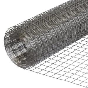 China Corrosion Resistance Galvanized Welded Wire Mesh Roll for Bird Cage Length 5-50m factory