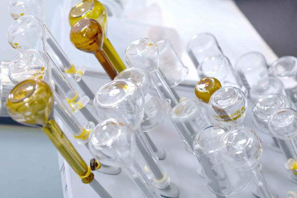 Enhance Your Product's Performance with Food Grade Enzymes Powder and Liquid PH