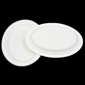 China Large size eco-friendly biodegradable disposable fish dish sugarcane barbecue fish plate factory