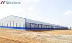 Easy Clean Steel Poultry House Layer Hen House Steel Structure Chicken Broiler