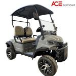 Electric Golf Buggy Cart / Two Seater Golf Vehicle With 80km Range