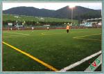 UV Resistant Soccer Synthetic Grass Long Life All Weather FIFA Standard