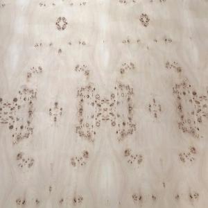 China Mappa Burl Wood Veneer Sheet Natural Plywood For Flooring Furniture factory