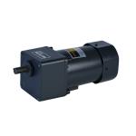 104mm 250W Speed Control Gear Motor 6RK250GN-CF 6GU3-200K YN100-250F 100JB3