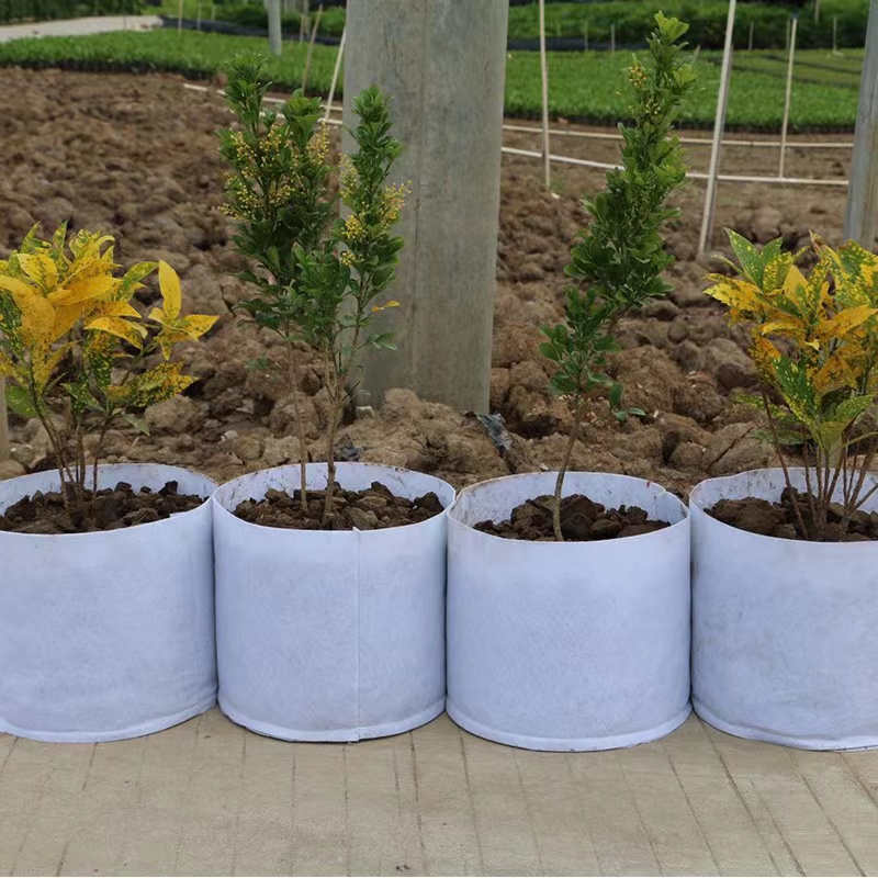 Customize Hot Selling non woven fabric Biodegradable plant bag breathable flet tree grow bag large nursery bag with handle