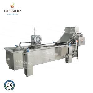 China 850 KG Capacity Leaf Vegetable Bubble Washing Line for Manufacturing Plant Production factory