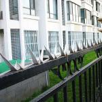 Iron Wire Home Security Fence Spikes For Walls Anti Climb