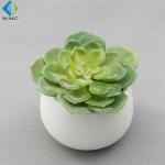 Bookcase Decoration Artificial Green Plants , Home Use Faux Succulent Plants