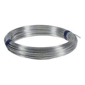 China Q195/Q235/SAE1006-1008 Customized Length Hot Dipped Galvanized Iron Wire for Bird Cages Zinc Coated BWG 20 Galvanized Wires factory