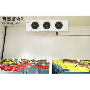 China 20ft Mobile Container Cold Room Freezer for Fish Vegetable Fruits Ice Cream Storage factory