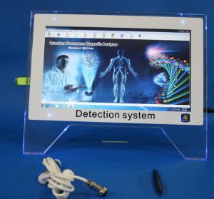 China Beauty Salon Quantum Therapy Machine With Touch Screen PC 2 In 1 factory