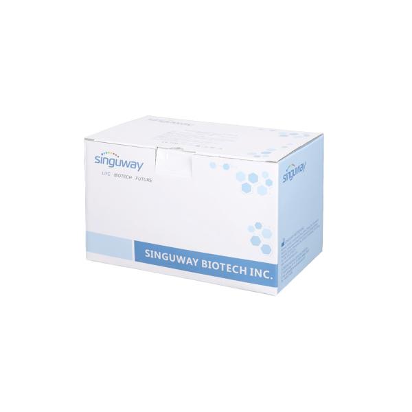 Magnetic Bead Total RNA Extraction Kit ISO9001 High Pure Viral Nucleic Acid Kit
