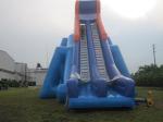 Commercial Giant Inflatable Slide for Sale