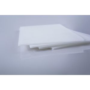 Shakeproof PP Corrugated Sheets Waterproof Lightweight Plastic Sheets White