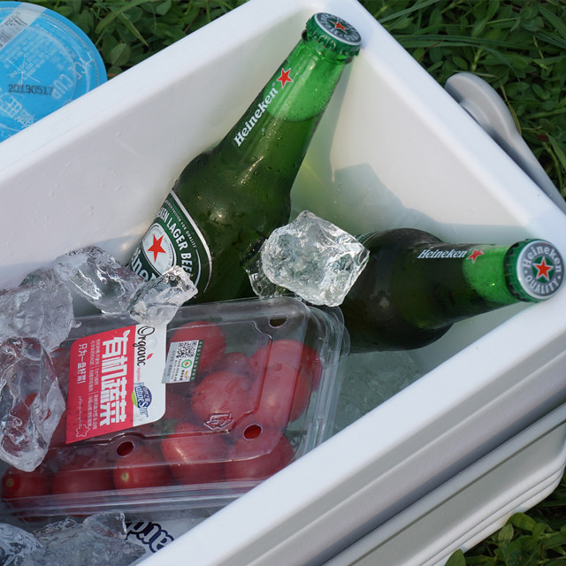 Cold Chain Ice Cooler Box 5L Phefon Outdoor Cooler Box White