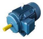 Big Power 340HP / 250kw 3 Phase Induction Motor With Cast Iron Housing For Mixer