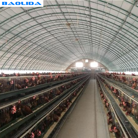 Hot-dip Galvanized Steel Poultry Film Tunnel Greenhouse Waterproof Sheep Greenhouse