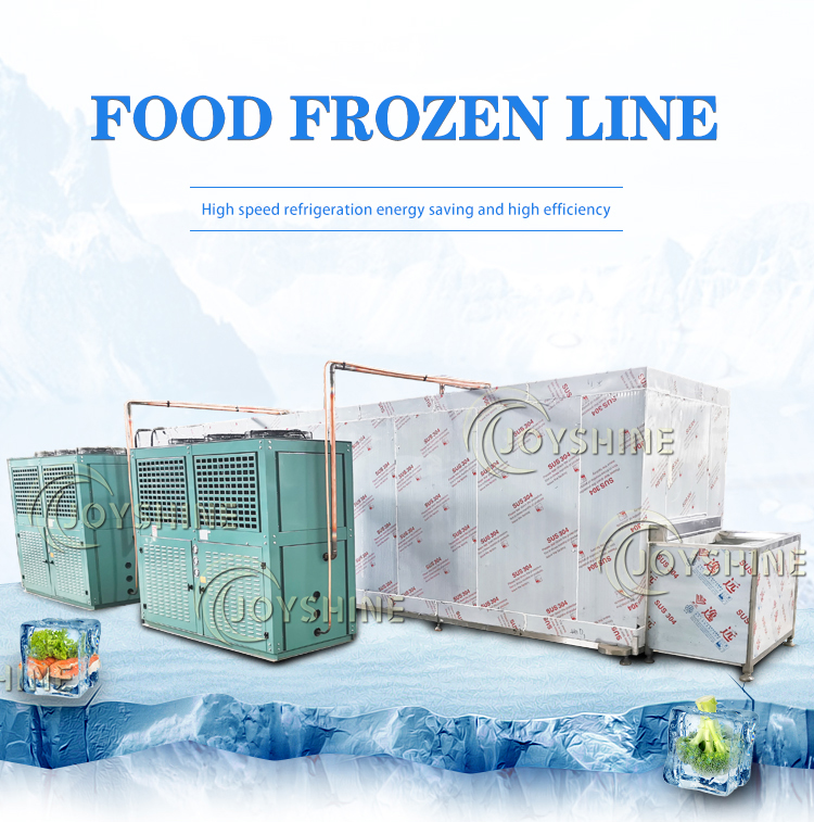 Quick Freeze Machine Low Temperature Blast Freezer For Industrial 600kg/H Capacity