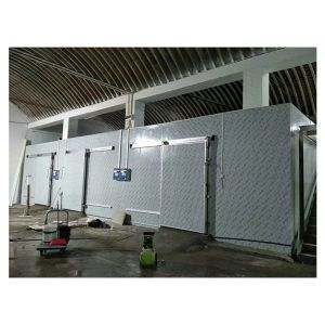 Commercial Customized Fruit/Vegetable/Fresh Meat Multifunctional Storage