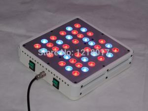 China full spectrum high power 5w chip led grow lights factory