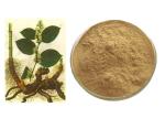 CAS 501-36-0 Resveratrol Natural Polygonum Cuspidatum Extract