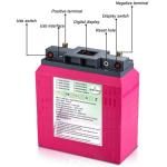 LiFePO4 Lithium Iron Phosphate Battery 12V 100Ah LiFePo4 Battery Pack For Boat