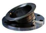 Forged Carbon Steel Flange