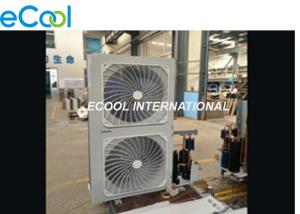 China 6Hp Frequency Conversion Condensing Unit for Small Freezer , Convenient store, Display Cabinet factory