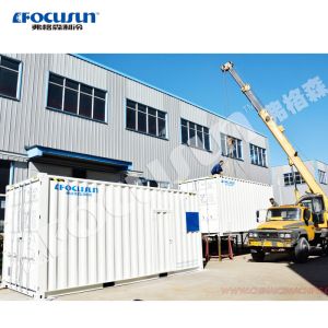 20Tons Flake Ice Machine and 10Tons Containerized Cold Room for Snow Ice