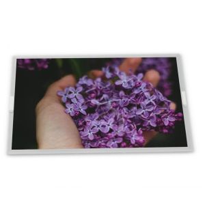 China M238DTN01.0 LCD 23.8 inch a-Si TFT-LCD rectangular screen lcd display panel new and original factory