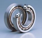 Stainless Steel Angular Contact Ball Bearing