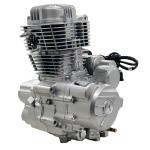 DAYANG 200cc Tricycle Air Cooling Engine for Peru Three Wheel Motorcycle Trike