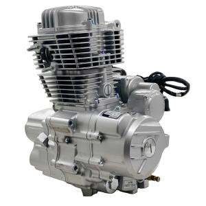 China DAYANG 200cc Tricycle Air Cooling Engine for Peru Three Wheel Motorcycle Trike Engine factory