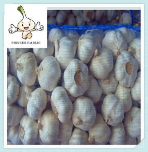 China High Quality Quick Delivery China Garlic Price High Class Bulk Garlic For Sale factory