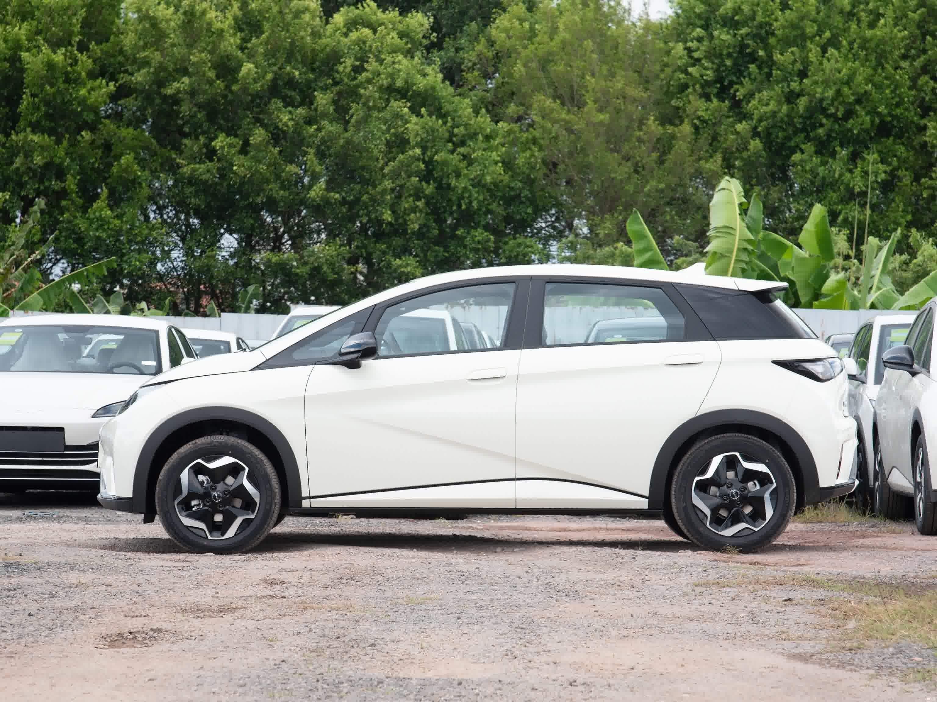 BYD Dolphin 2025 Model 420 Kilometer Pure Electric Edition 5 Doors 5 Seats 4 Speakers Popular Car