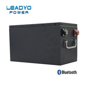 China LEADYO 5KWH LiFePO4 Golf Cart Battery 48V 200ah High Capacity factory