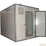 SS304 Deep Freezer Cold Room 1160mm Height Prefabricated Cold Storage