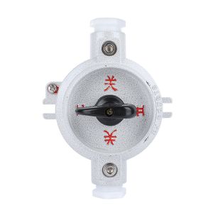 China Exde IIC T5 Gb Explosion Proof Switch SW10 for Oil Gas Middle East IP65 10A Chemical Processing Marine and Offshore on sale