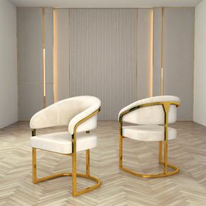 China Apartment Luxury Dining Chair With Backrest No Armrest factory