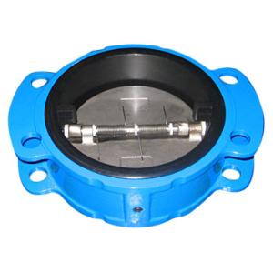 China ANSI check valve rubber seal factory