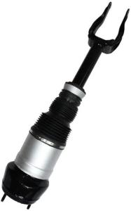 China 1663202513 Air Suspension Parts Air Suspension Strut factory