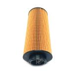 2057893 OEM Auto Parts Oil Filter Efficient Durable