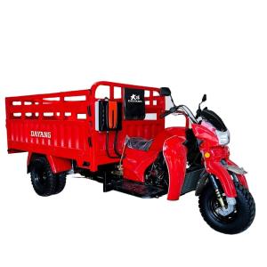 China Water Cooled 200CC/250CC/300CC Engine Ghana Transport Tricycle Vans with Petrol Cargo factory