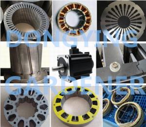 China Motor Lamination and stator for diesel generator,Permanent magnet motor,stepper motor,servo motor,high voltage motor on sale