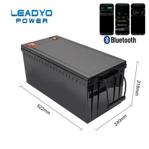China 300ah 12V Lifepo4 Battery Storage Energy System With BMS APP Control factory