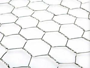 China HDG Plaster Reinforcement Mesh 0.9mm Diameter Plastering Chicken Wire Mesh factory