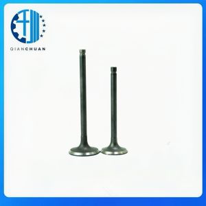 China Valve 423016 423017 For Volvo  S40 S60 S80  Diesel Engine Spare Parts construction Machinery on sale