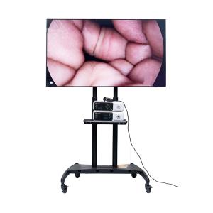 China 3840x2160p Ultra 4K Endoscope Camera Medical Monitor 55inch factory
